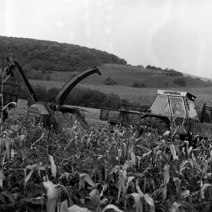 minerva_Agrar_c1_c6r5_032