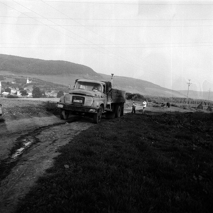 minerva_Agrar_c1_c6r5_033