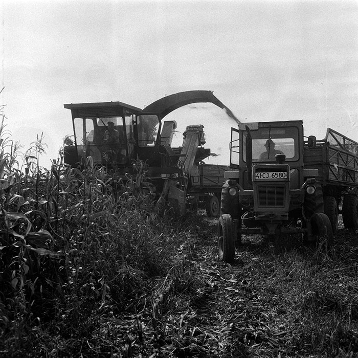 minerva_Agrar_c1_c6r5_034