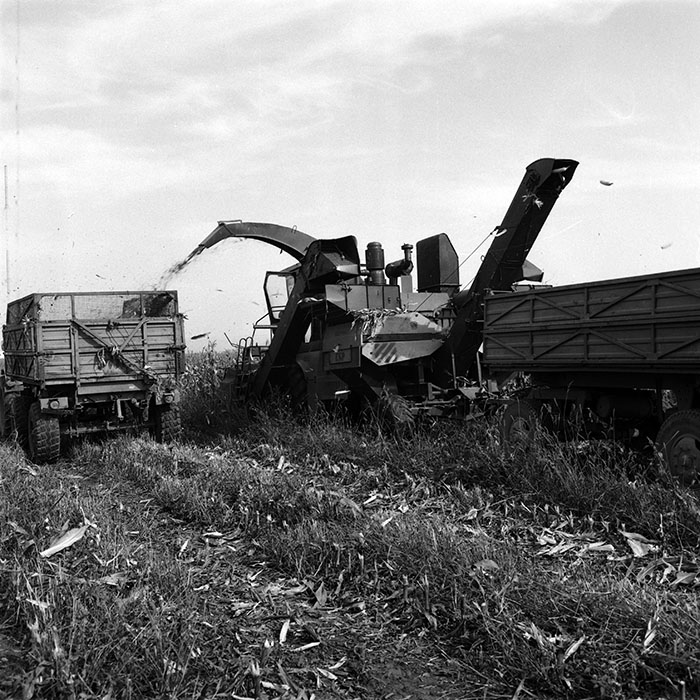 minerva_Agrar_c1_c6r5_035