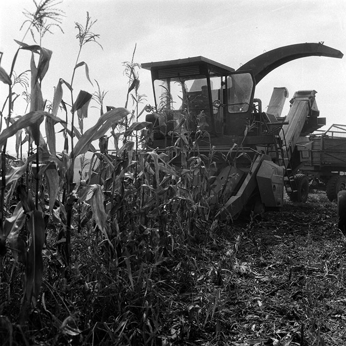 minerva_Agrar_c1_c6r5_036