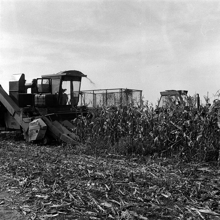 minerva_Agrar_c1_c6r5_037