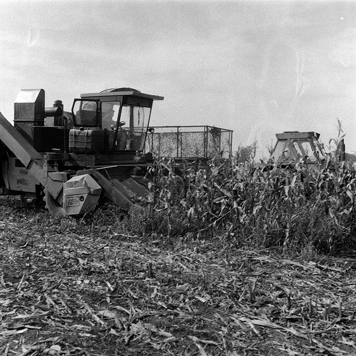 minerva_Agrar_c1_c6r5_038