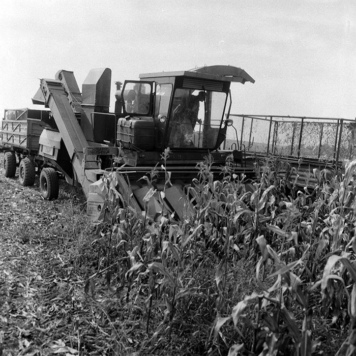 minerva_Agrar_c1_c6r5_040