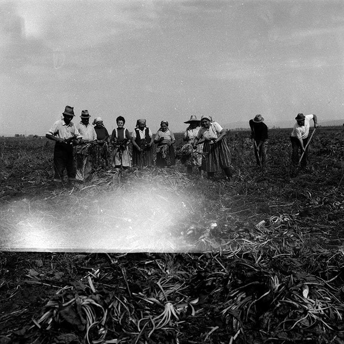 minerva_Agrar_c1_c6r5_043