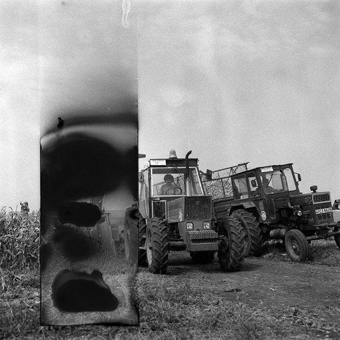 minerva_Agrar_c1_c6r5_045