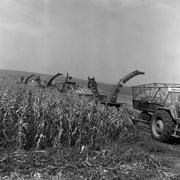 minerva_Agrar_c1_c6r5_047