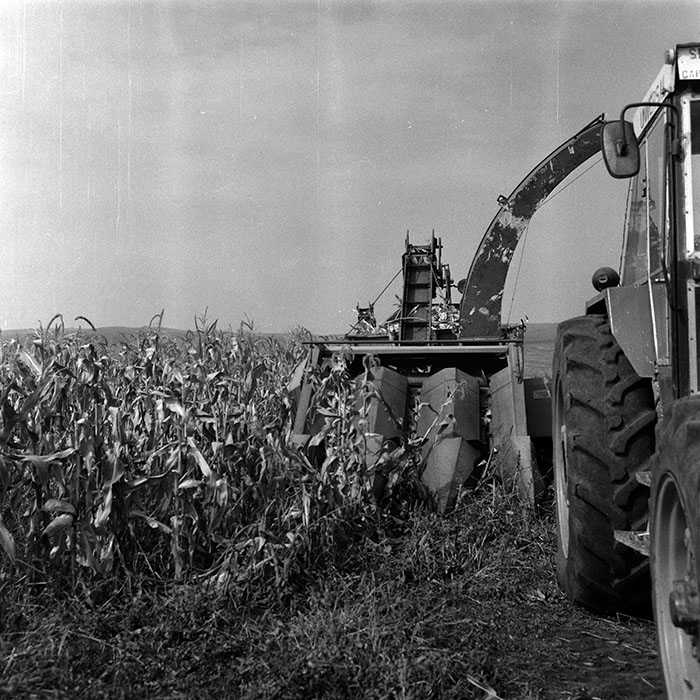 minerva_Agrar_c1_c6r5_048