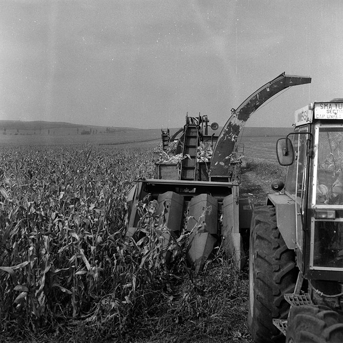 minerva_Agrar_c1_c6r5_049