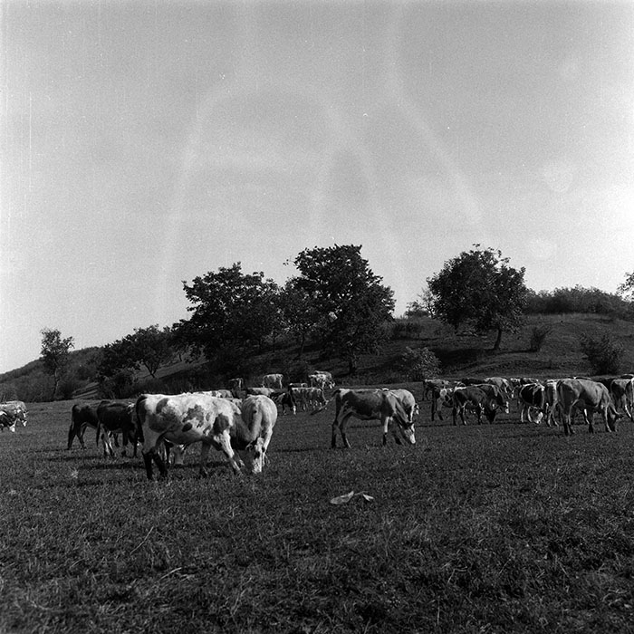 minerva_Agrar_c1_c6r5_053