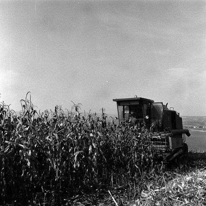 minerva_Agrar_c1_c6r5_055