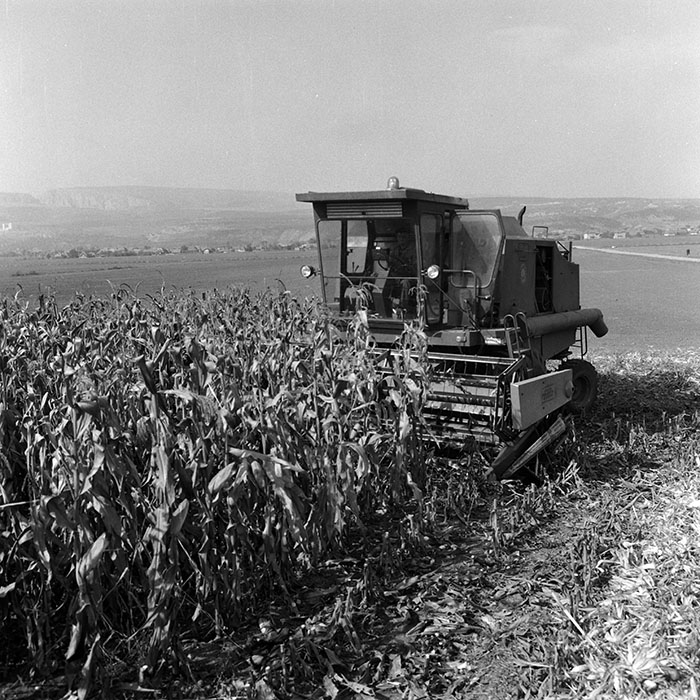 minerva_Agrar_c1_c6r5_056