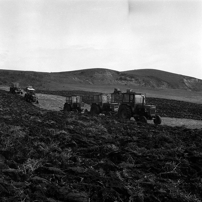 minerva_Agrar_c1_c7r1_001