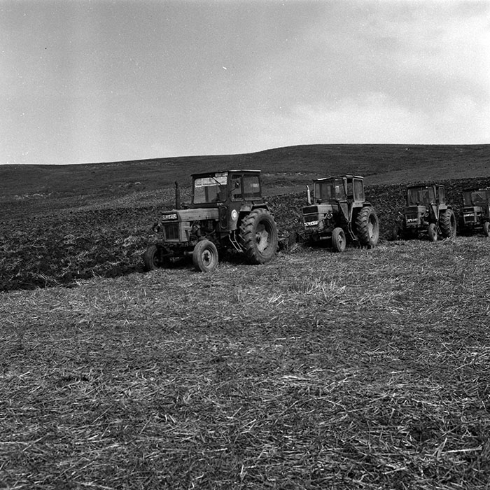 minerva_Agrar_c1_c7r1_002