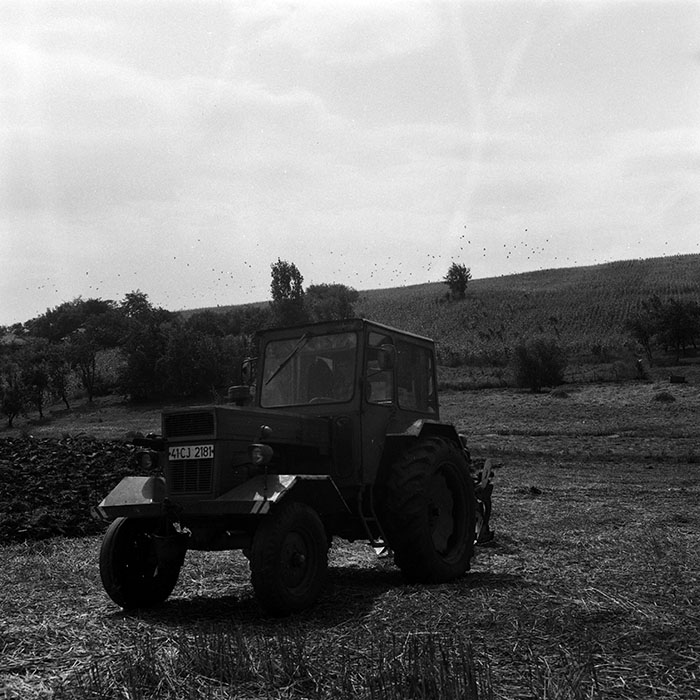 minerva_Agrar_c1_c7r1_003