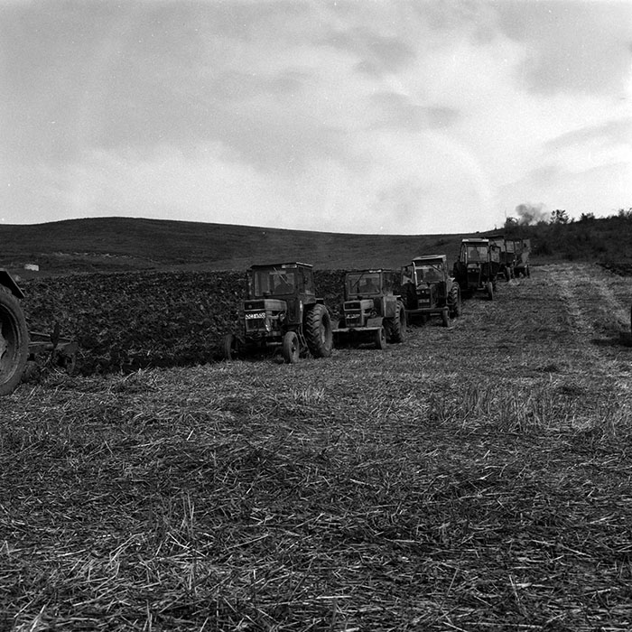 minerva_Agrar_c1_c7r1_004