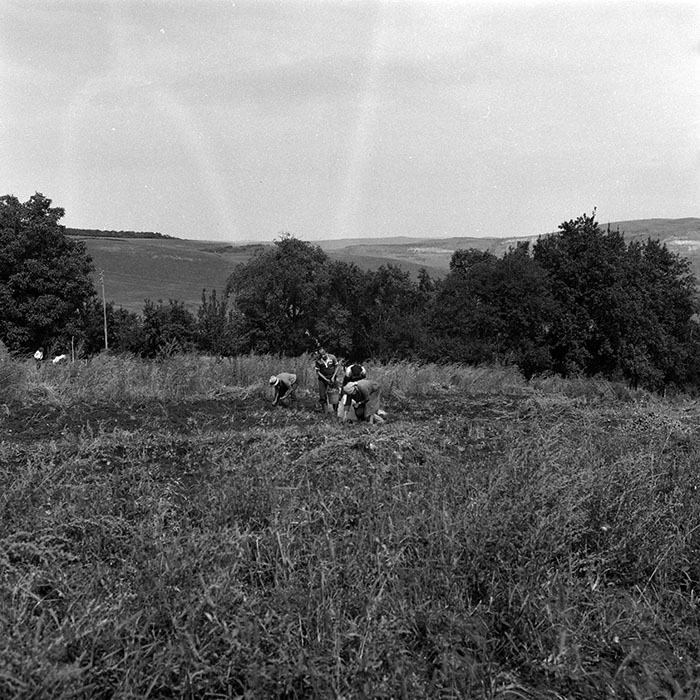 minerva_Agrar_c1_c7r1_005