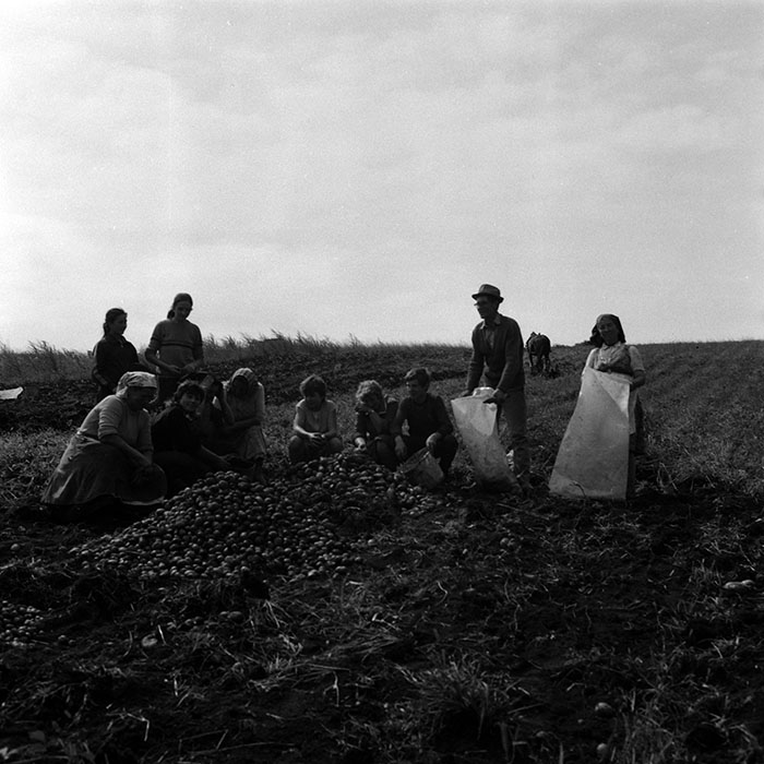 minerva_Agrar_c1_c7r1_006