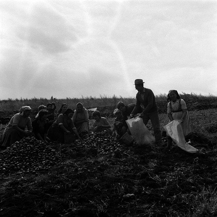 minerva_Agrar_c1_c7r1_007