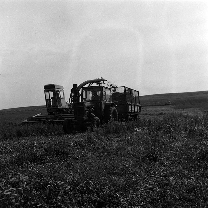 minerva_Agrar_c1_c7r1_008