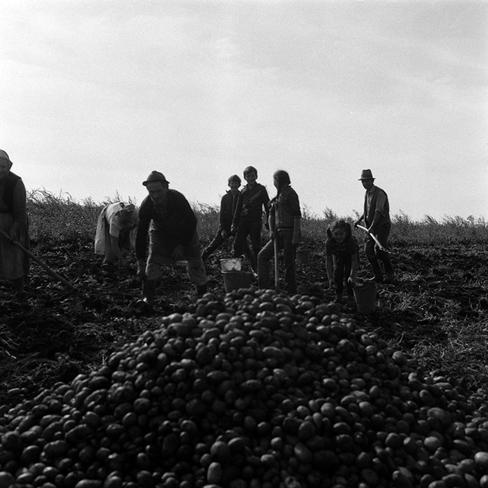 minerva_Agrar_c1_c7r1_009