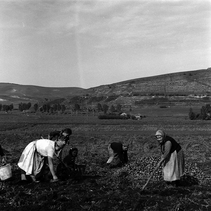 minerva_Agrar_c1_c7r1_010