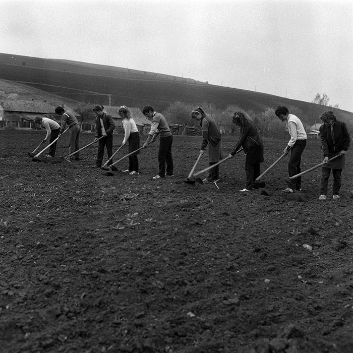 minerva_Agrar_c1_c7r2_001