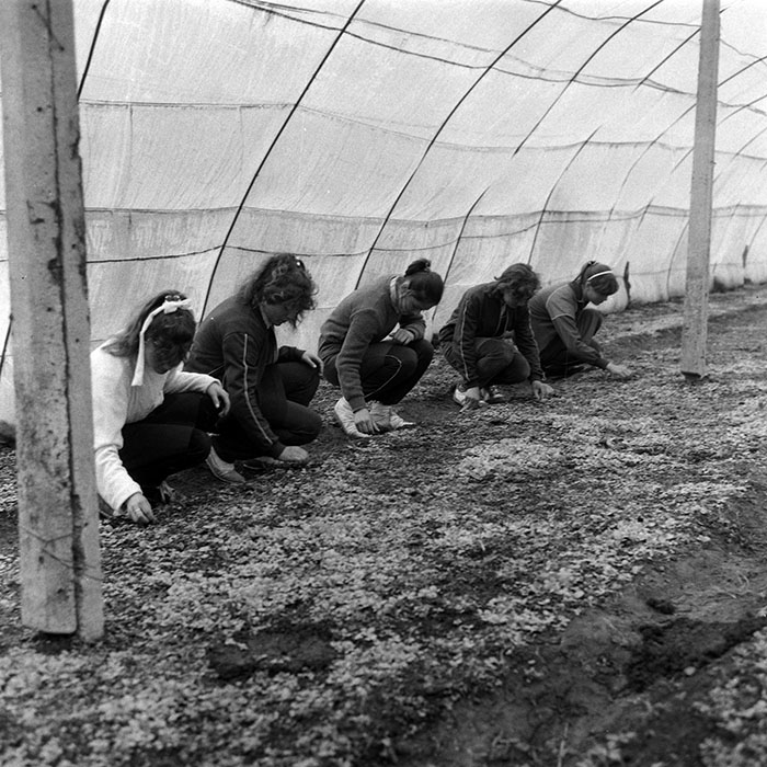 minerva_Agrar_c1_c7r2_003