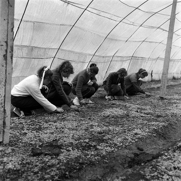 minerva_Agrar_c1_c7r2_004