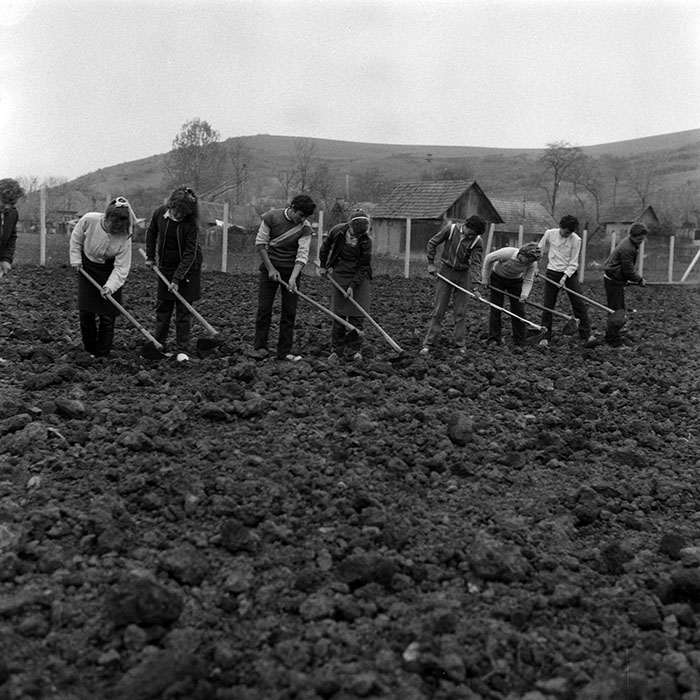 minerva_Agrar_c1_c7r2_005