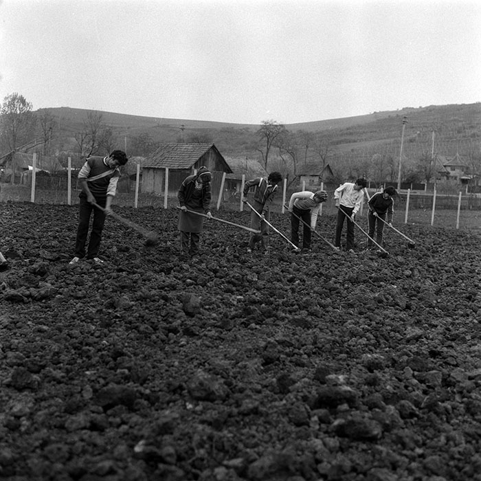 minerva_Agrar_c1_c7r2_006