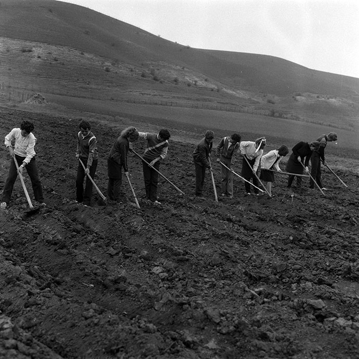 minerva_Agrar_c1_c7r2_007