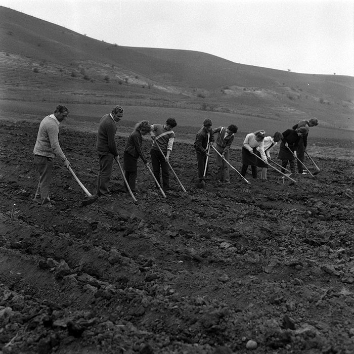 minerva_Agrar_c1_c7r2_008