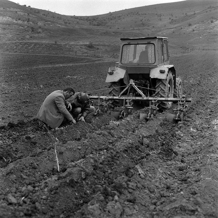 minerva_Agrar_c1_c7r2_009