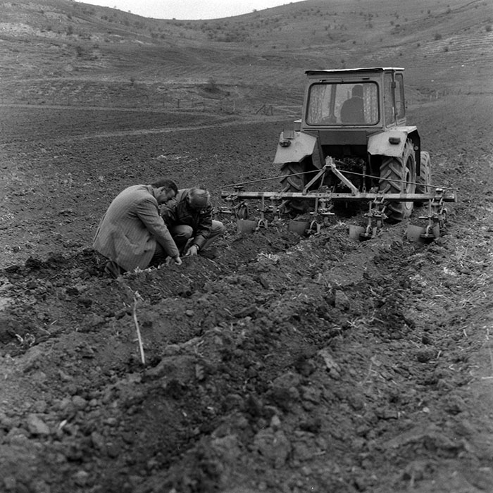 minerva_Agrar_c1_c7r2_010