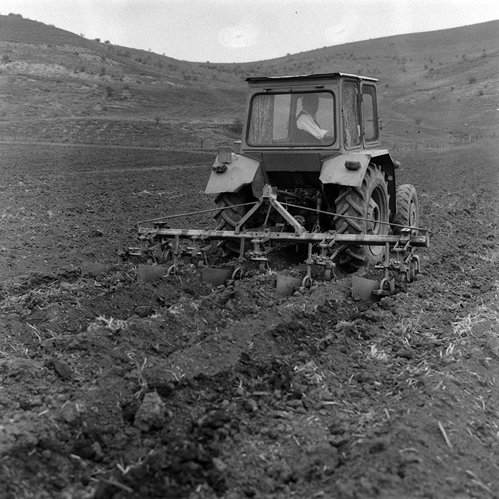 minerva_Agrar_c1_c7r2_011