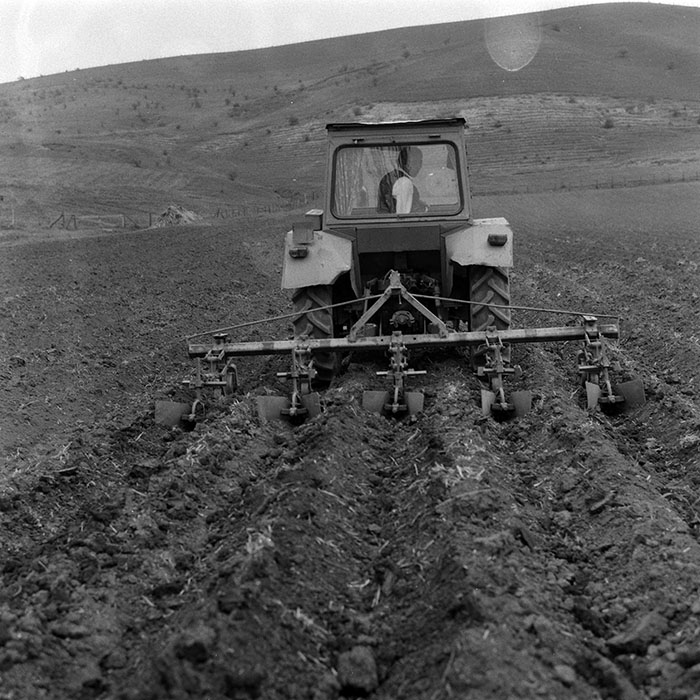 minerva_Agrar_c1_c7r2_012