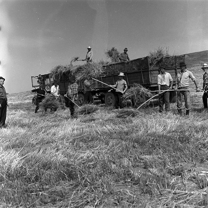 minerva_Agrar_c1_c7r3_001