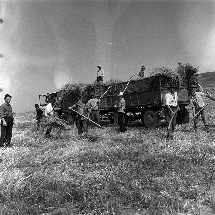 minerva_Agrar_c1_c7r3_002