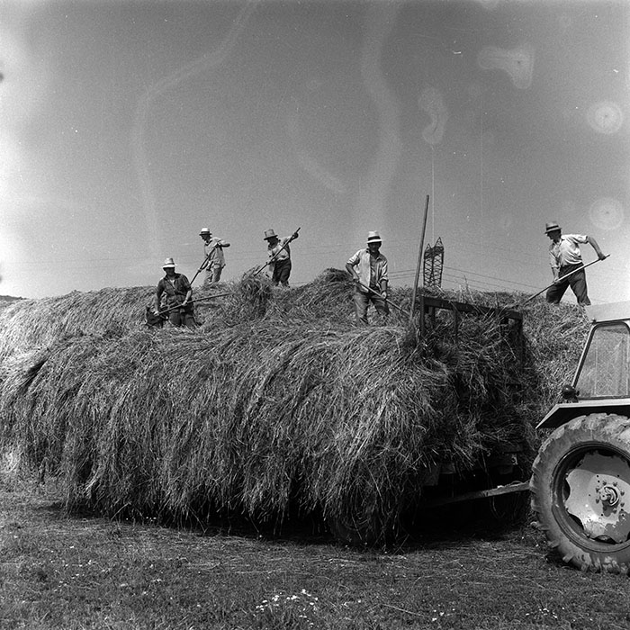 minerva_Agrar_c1_c7r3_004