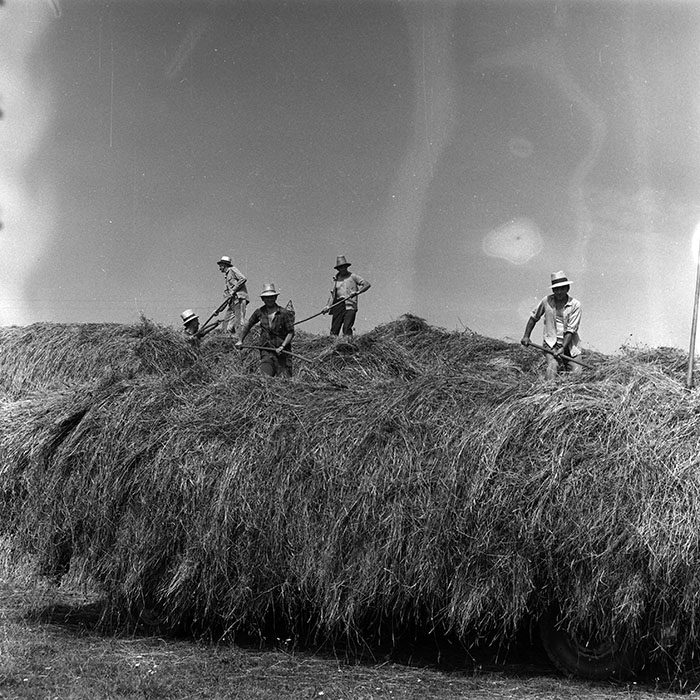 minerva_Agrar_c1_c7r3_005