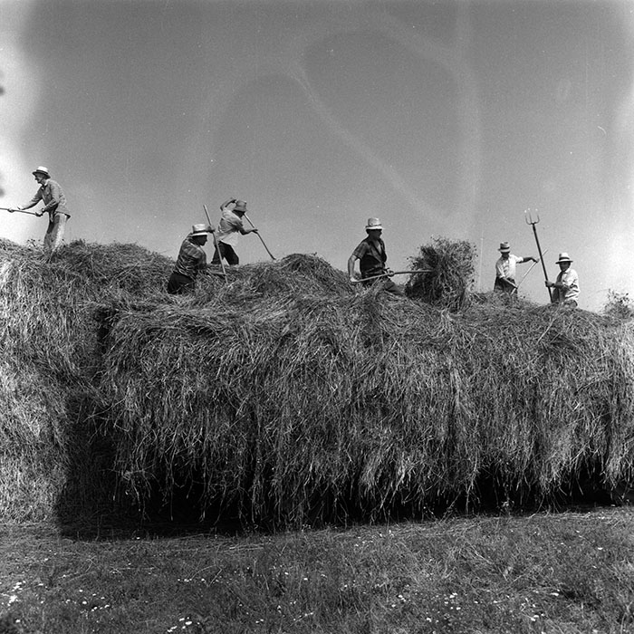 minerva_Agrar_c1_c7r3_006