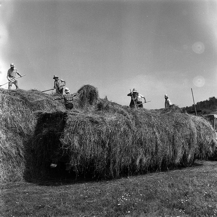 minerva_Agrar_c1_c7r3_007