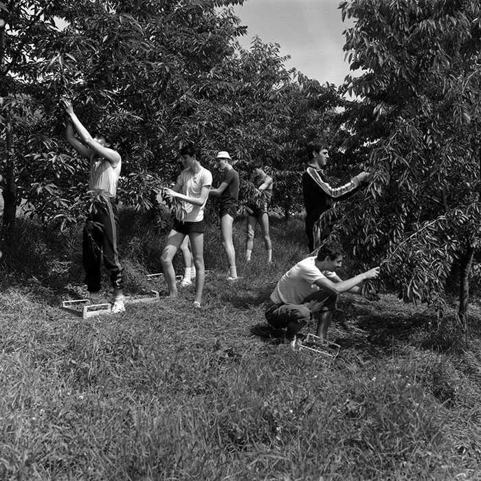 minerva_Agrar_c1_c7r3_008