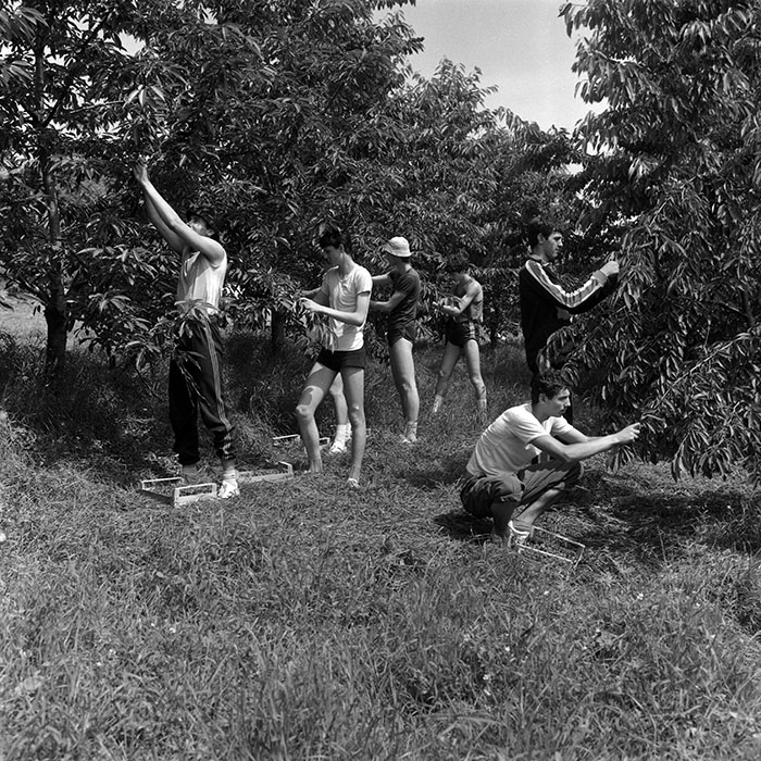 minerva_Agrar_c1_c7r3_009