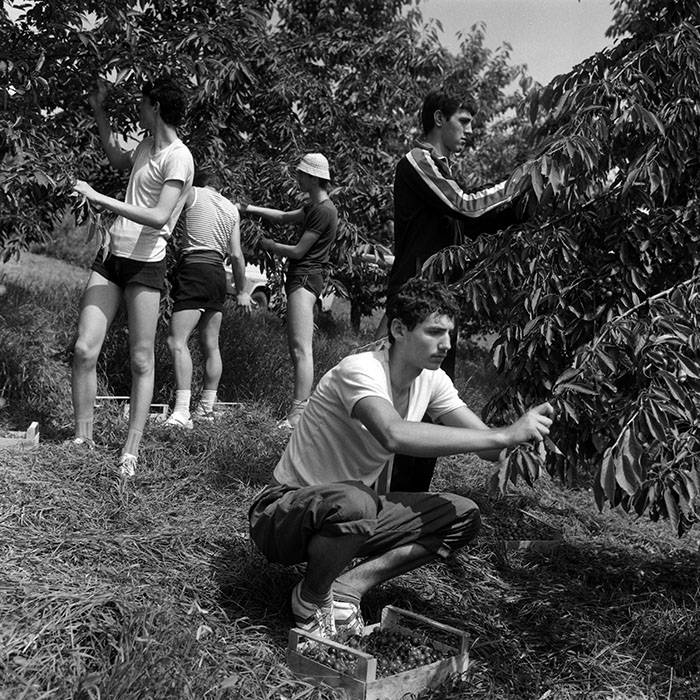 minerva_Agrar_c1_c7r3_010