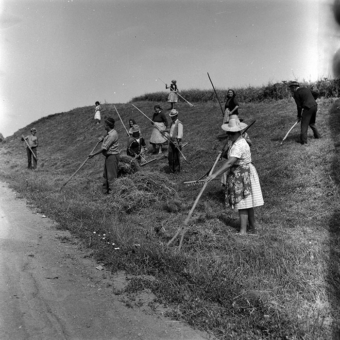 minerva_Agrar_c1_c7r4_005