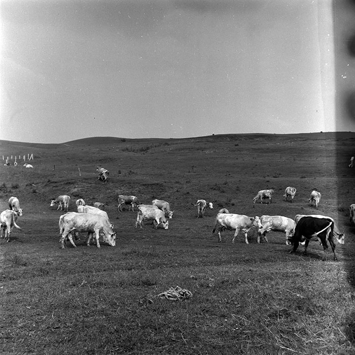 minerva_Agrar_c1_c7r4_009