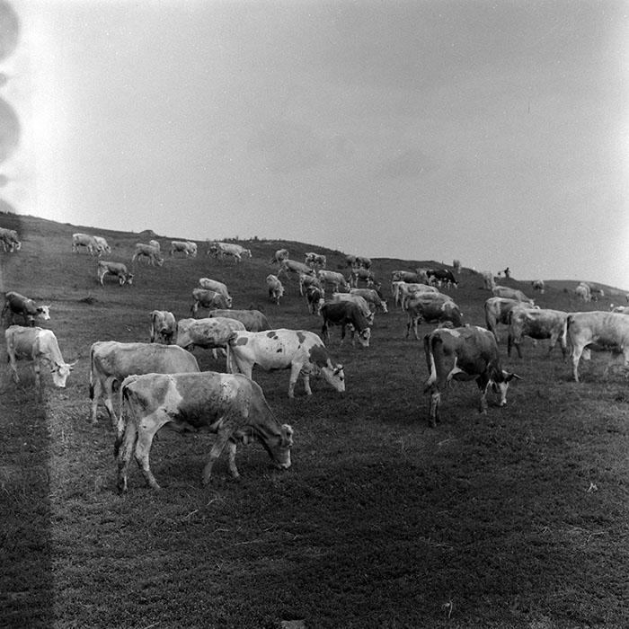 minerva_Agrar_c1_c7r4_012