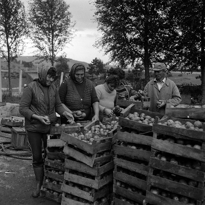 minerva_Agrar_c1_c7r5_001